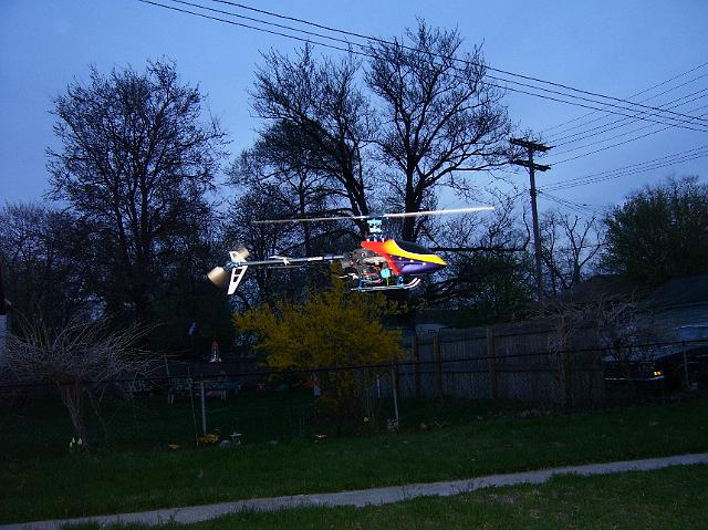NewCanopy 005.jpg